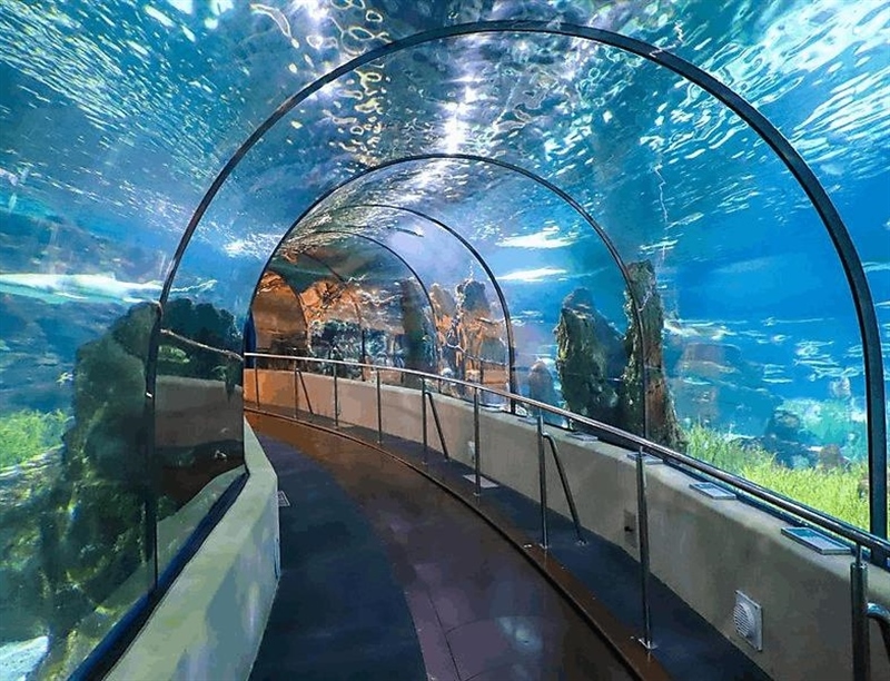 Aquarium Barcelona | Barcelona, Spain | Travel BL