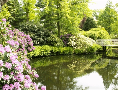 Arboretum trompenburg | Rotterdam, Netherlands | Travel BL