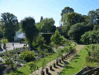 Botanical Garden | Delft, Netherlands | Travel BL