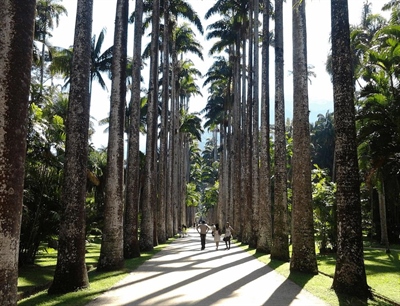 Botanical Garden | Rio de Janeiro, Brazil | Travel BL