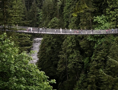 Capilano Suspension Bridge | Vancouver, Canada | Travel BL