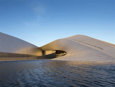 Explore the National Aquarium Denmark | Copenhagen, Denmark | Travel BL