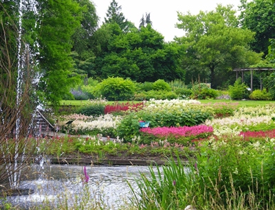 Explore the Utrecht Botanic Gardens | Utrecht, Netherlands | Travel BL