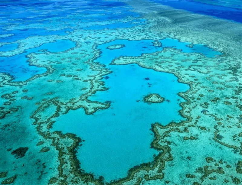 Great Barrier Reef  | Cairns, Queensland,Australia | Travel BL