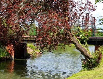 Hammond's Pond | Carlisle, England,UK | Travel BL