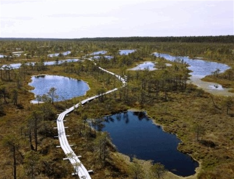 Ķemeri National Park | Jūrmala, Latvia | Travel BL