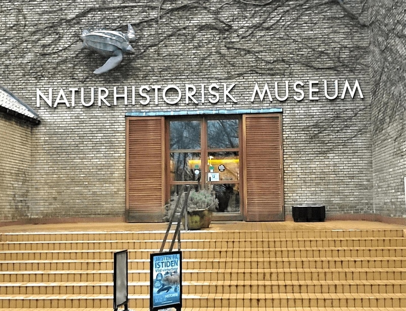 Natural History Museum | Aarhus, Denmark | Travel BL