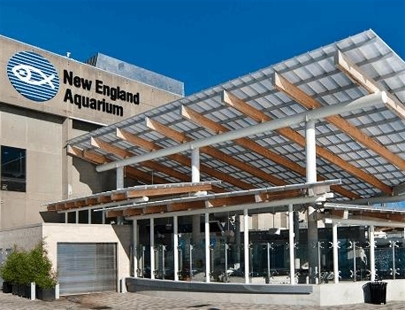 New England Aquarium | Boston, Massachusetts,USA | Travel BL