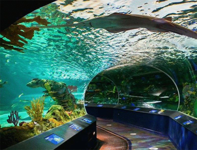 Ripley's Aquarium | Toronto, Canada | Travel BL