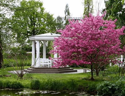 University of Tartu Botanical Gardens | Tartu, Estonia | Travel BL