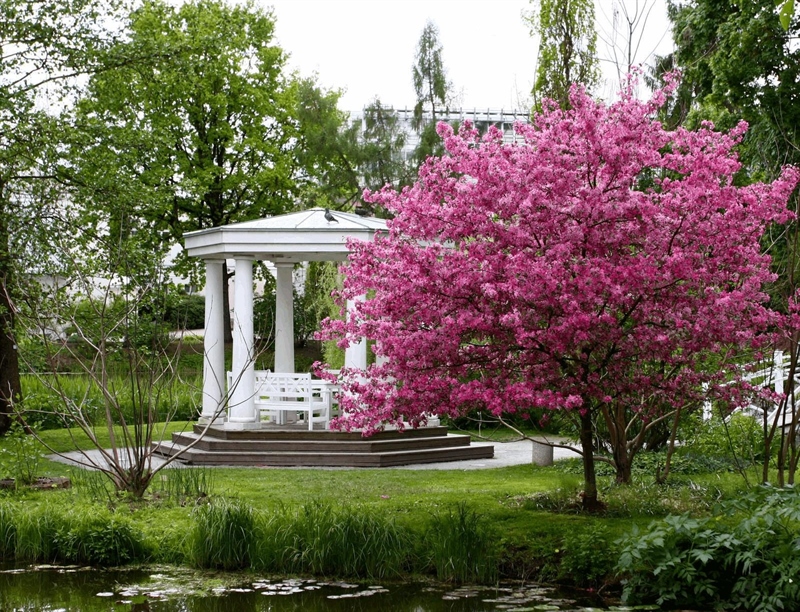 University of Tartu Botanical Gardens | Tartu, Estonia | Travel BL
